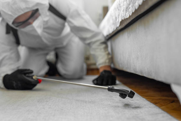 Professional Pest Control technician working in Combes, TX